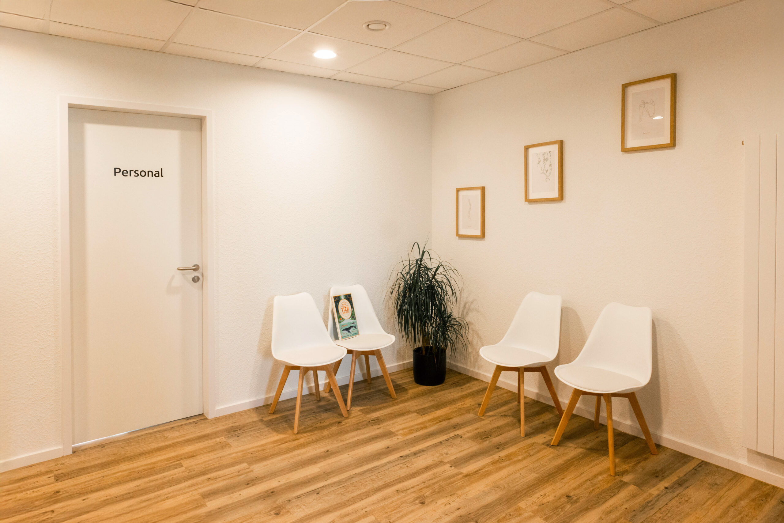 Moderner Behandlungsraum in der Massage Praxis Leverkusen mit entspannender Atmosphäre